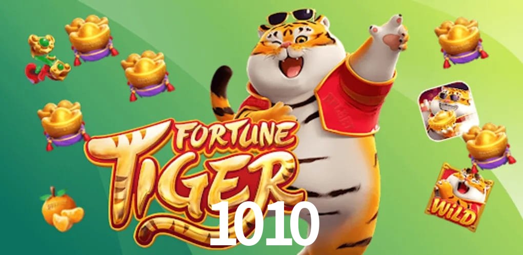 Experiência VIP 1010